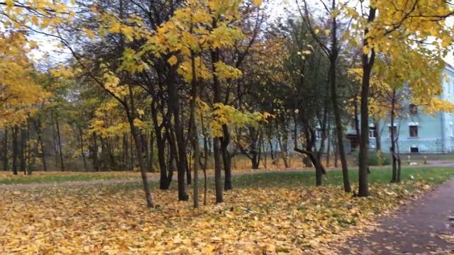 Красное село ул Массальского д 3 1 эт смотреть онлайн