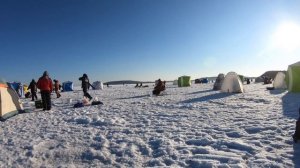 Зимняя РЫБАЛКА на КОРЮШКУ / СУЕТА на ЛЬДУ / Сахалин 2023