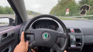 Шкода фабия 1.2 бензин сколько сожрала на 1000 км пути бензина ?
