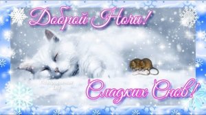 Спокойной ночи сладких снов! Красивое пожелание спокойной ночи