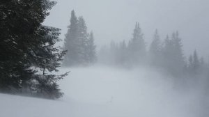 Звуки снежной бури | Звуки вьюги | Cнежный ветер | Шум вьюги | Звуки зимы | Шум снега | Звуки пурги