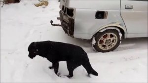 Расширение арок ваз 2110