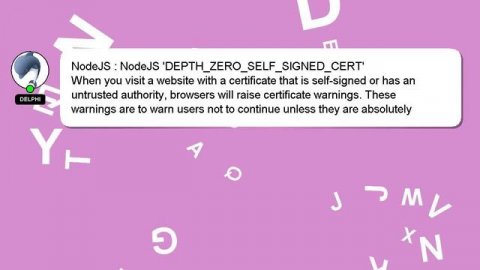 NodeJS : NodeJS 'DEPTH_ZERO_SELF_SIGNED_CERT'
