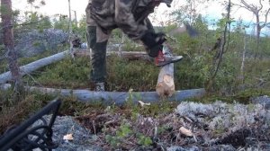 Строю дом в лесу. Первый венец! Хижина в тайге / на горе / у моря.