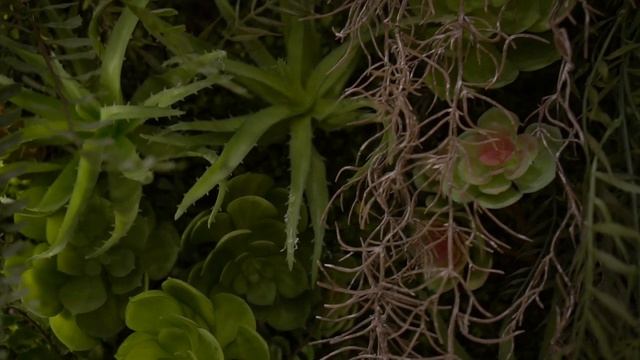 На заставку