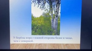 Познание. 1 урок. Ориентирование на местности.