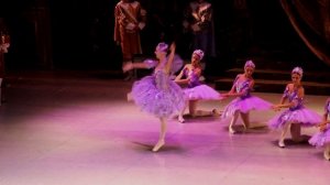 "Спящая красавица" Фея Сирени