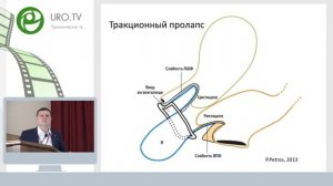 Лекция Шкарупа Д. Д. Функциональная анатомия тазового дна для хирурга