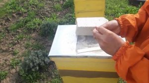 Обработка пчёл от клеща ранней весной и до постановки магазинов.