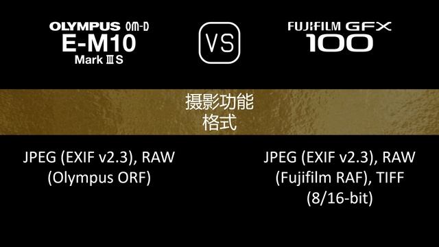 Olympus OM-D E-M10 Mark III S 与 Fujifilm GFX 100 的规格比较 смотреть онлайн