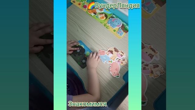 Занятия с детским нейропсихологом