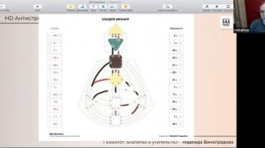 Курс "HD Антистресс" день 1
