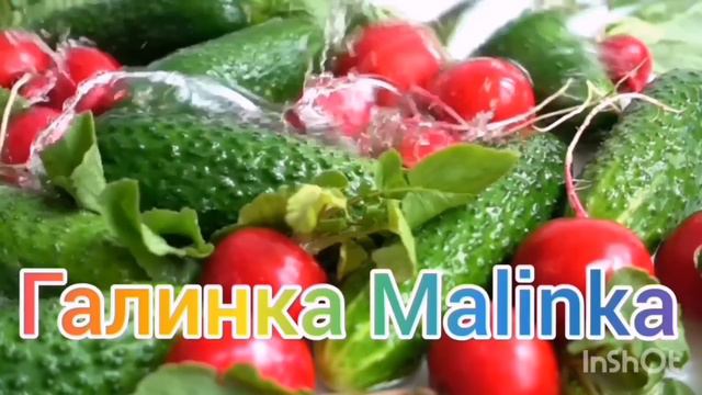 Ольга Уралочка live / Давно так не ржали /Обзор Влогов /Уралочка и Сафар /
