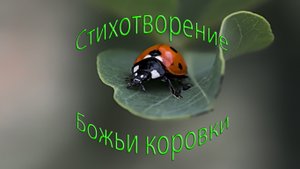 Стихотворение. Божьи коровки.