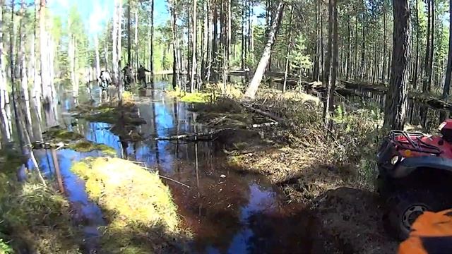 Новый маршрут. Винзили - оз. Большой Нарык. Ковровое болото. Протяженность 115 км.