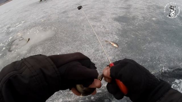 ПОДАРОК ХАНА АЛТАЯ: 2ой день. Зимняя рыбалка на льду горного озера. Siberian fishing смотреть онлайн