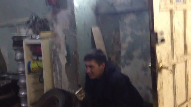 Бешеные собаки покусали редактора misanec ru