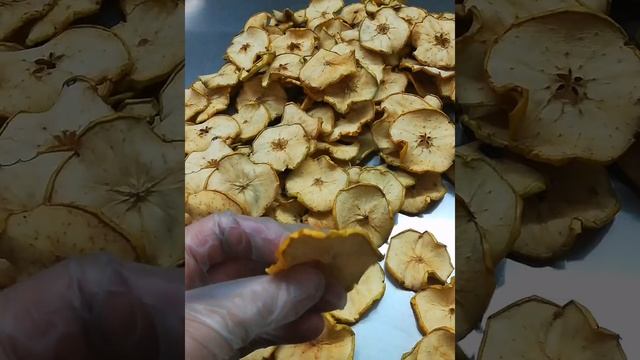 Сушильные камеры для быстрой сушки овощей, фруктов, мяса, трав, чая, ягод