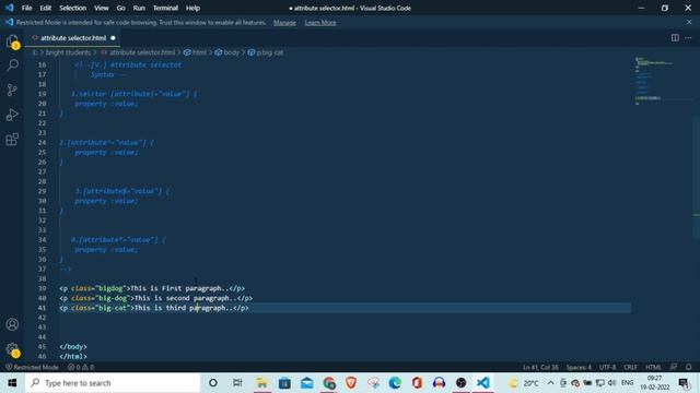 Web Development Tutorial | CSS Attribute Selector | Html,css ,Js Tutorial in Hindi