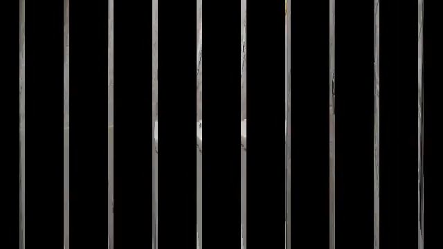 Свежие работы смотреть онлайн