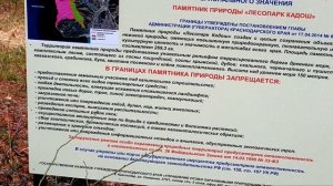 #ТУАПСЕ - МЫС КАДОШ - СКАЛА КИСЕЛЁВА