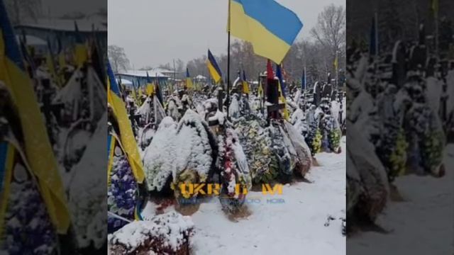 Такая картина сейчас по всей украине