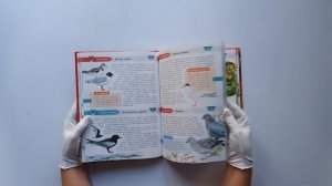 Красная книга Москвы и Подмосковья