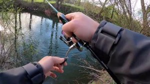 Поговорим о Daiwa Certate 19 2500XH и Daiwa Luvias 20 2000s! Рыбалка на Голавля, Форель, Голец!