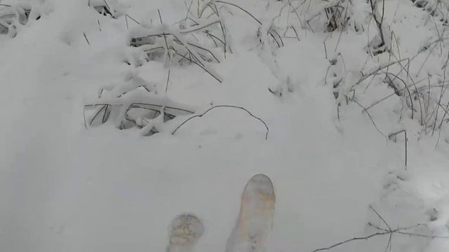 Лыжи вездеходы смотреть онлайн