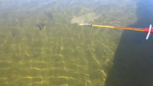 На речке. Ловим летом рыбу на зимнюю удочку.