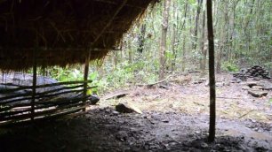 Primitive Technology_ Grass thatch, Mud hut