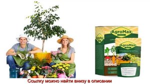 Агромакс Отзывы, Удобрение, Цена, Купить