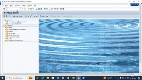 SAP BASIS - SAP SPOOL ADMINISTRATION