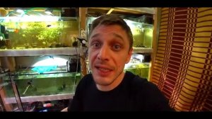 КРАПЧАТЫЙ СОМИК!!!