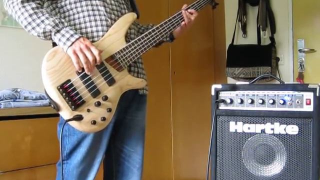 Korn-Got the Life (Bass Cover) смотреть онлайн