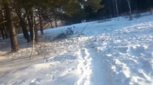 Старое видео ,обзор на зимний лес возле дома.