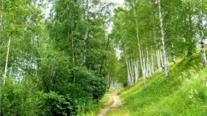 Игорь Ильин стихи