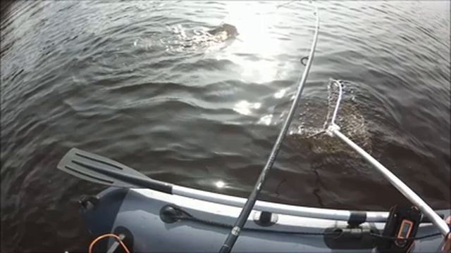 Ловля судака | Ловля щуки | Рыбалка на троллинг смотреть онлайн