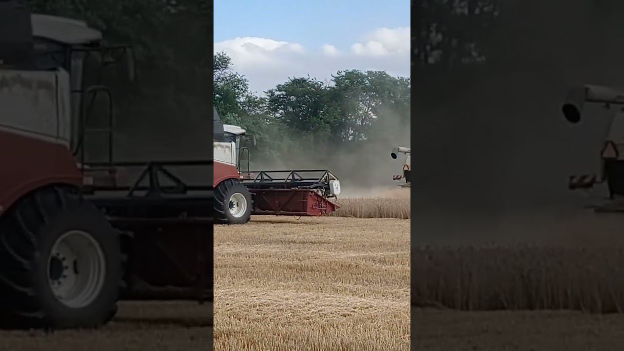 Уборка на Кубани 2024. смотреть онлайн