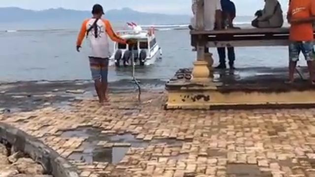 Змеи на пляже Санур на  острове Бали