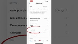 Как очистить КЭШ ВКонтакте на айфоне