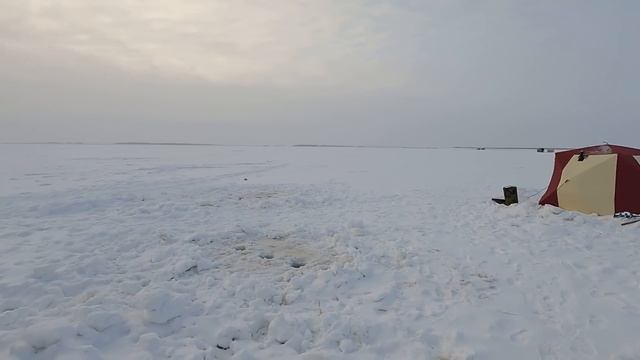 Рыбалка на Чанах. Почему сюда приезжают даже из Германии !? Судак, Карась.