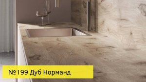 № 199 дуб Норманд