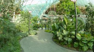 01_Шри-Ланка 2023. Перелет Qatar Airways в Коломбо, Шри-Ланка. Аэропорт Хамад в Дохе.