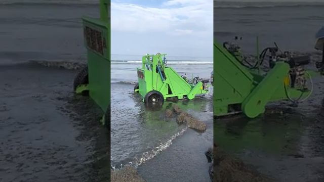 уборка морских водорослей смотреть онлайн