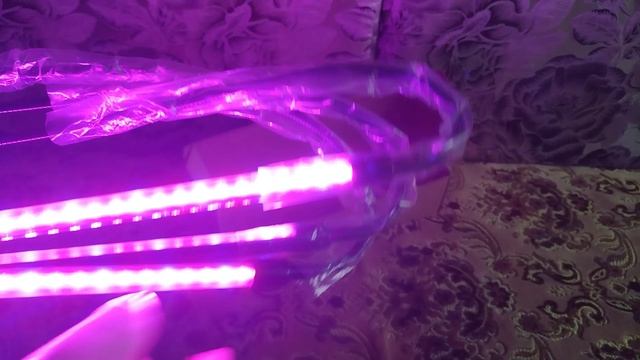 ОБЗОР ФИТОЛАМПЫ С ВАЛДБЕРИС.