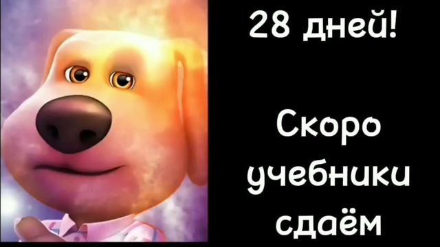 Сколько дней осталось до лета: смотреть онлайн