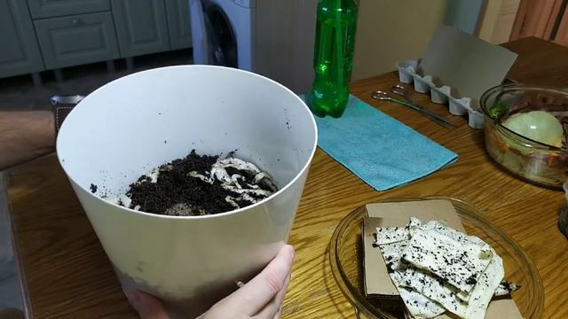 Вермиферма. Начало разведения червей. Часть 2 смотреть онлайн