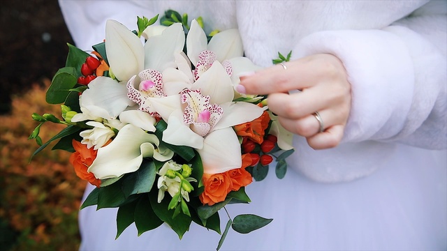 20.10.2018 смотреть онлайн