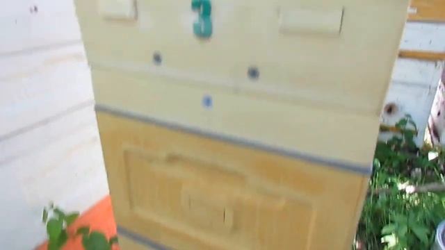 июнь на пасеке - делаю отводок на плодную матку для ухода от роения в улье Кука смотреть онлайн